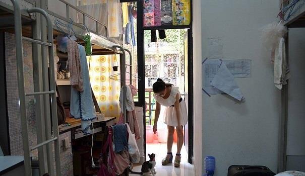 大一新生选宿舍4人间6人间哪个好？一旦选错难受4年(图5)