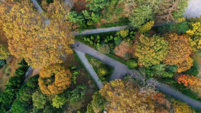 中国海洋大学怎么样？美景、美食云集理想院校具象化！(图4)