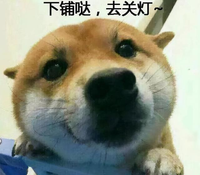 你以为的下铺VS实际上的下铺差距显而易见新生可以趁早抢床位(图4)
