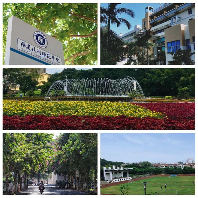 纯数据！福建技术师范学院2023-2024年福建各专业录取分公布！(图1)