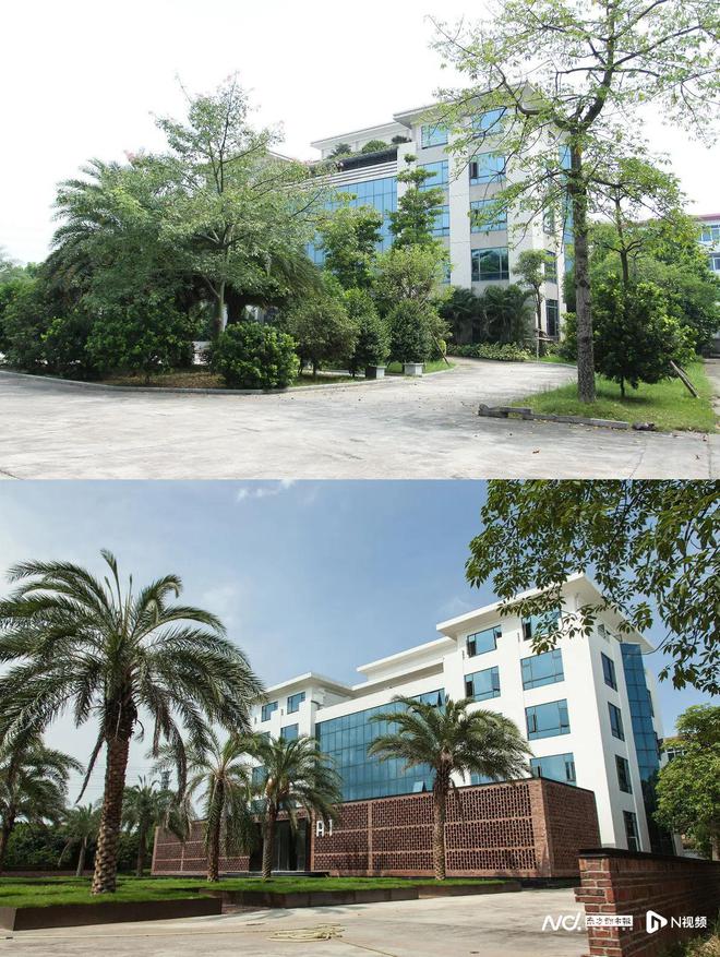 老厂房转型文化园！探秘广州南沙这个“宝藏园区”(图4)