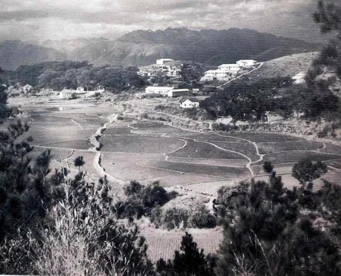 韶关浈江大村：百年古樟为证 两大名校薪火传承(图7)