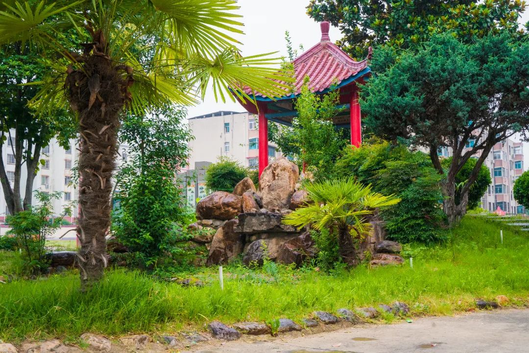 基础教育“扩优提质”！今天看许昌、漯河、三门峡！(图36)