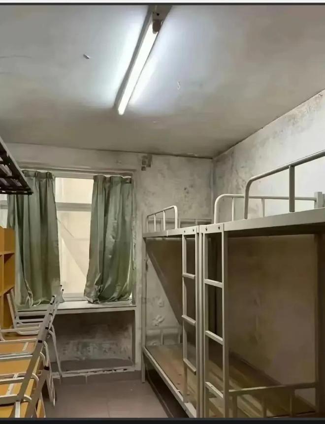 2024年大学生宿舍满意度排名前五无一985仅一所211大学上榜(图1)