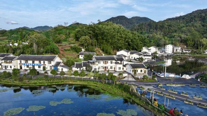 四川大竹：村美民富农业强乡村蝶变绘振兴(图1)