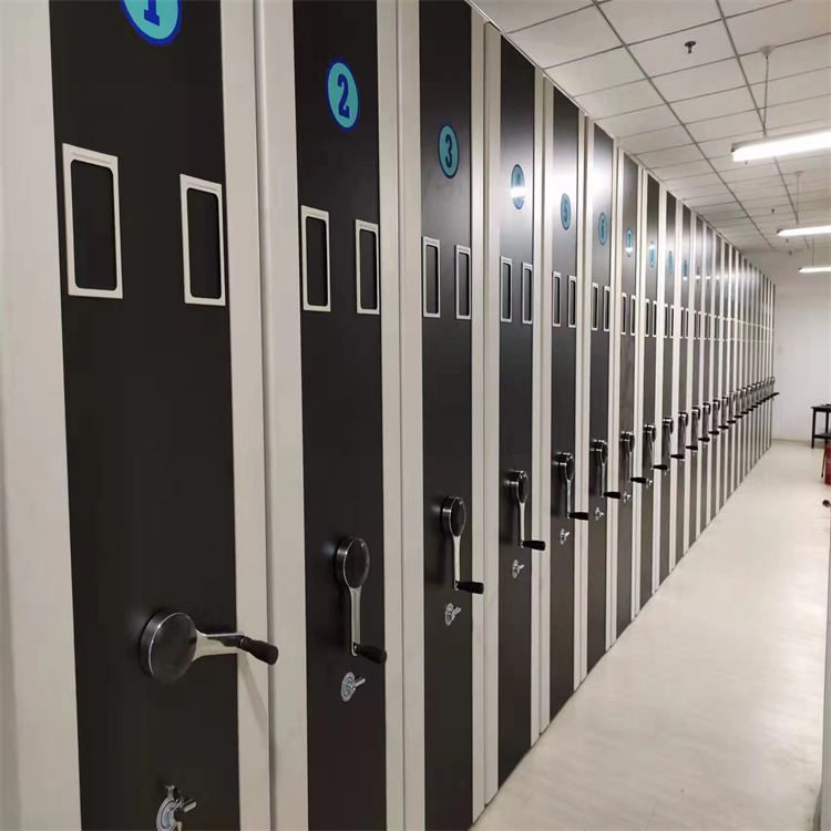 娄底财务密集柜总厂+「定制」-+2025新排名一览(图2)