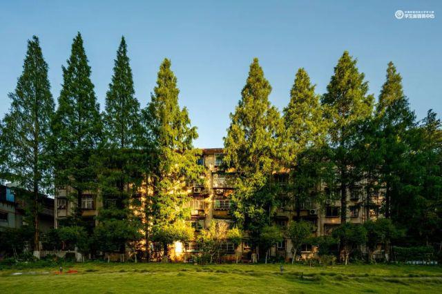 中南林业科技大学怎么样？环境超好幸福感满满！(图2)