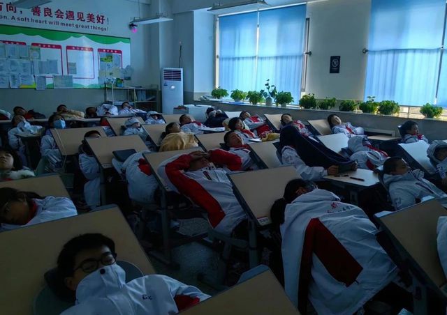 成都高新区开启学生午休“躺睡”模式 力争两年实现“全覆盖”(图2)