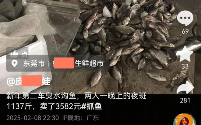 从臭水沟捞到的鱼转手卖给快餐店！一斤不到3元一晚能赚几千块(图2)