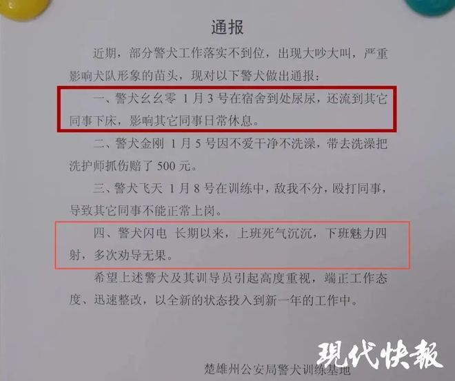 “幺幺零”被通报了(图1)