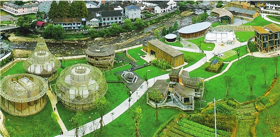 一根竹子的“十八般武艺” 浙江布局“以竹代塑”新赛道(图1)