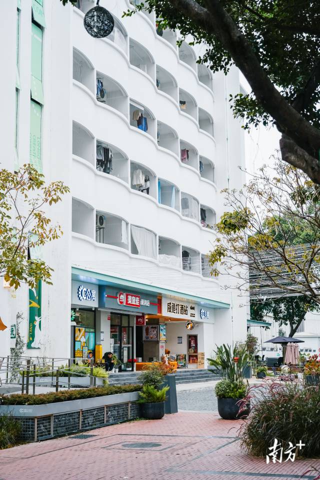 深圳龙岗13个青年驿站400+床位等你来 最多免费住30天！(图2)