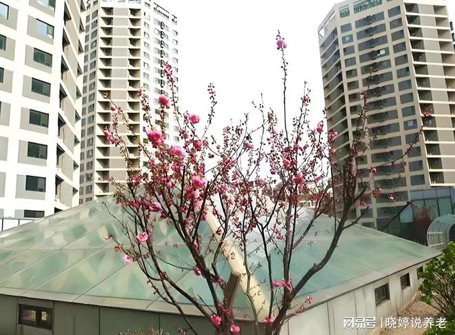 2025昌平区：金手杖国际养老公寓收费标准居住环境服务设施地址(图4)