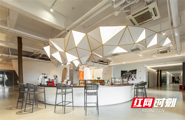 名匠原创大宅双店同开为精英客户匠造美好品质家(图5)