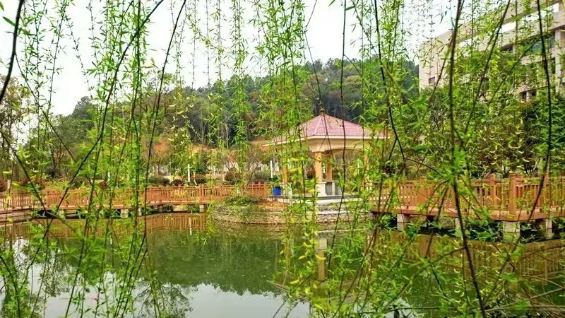 怀化艺考文培学校那个学校升学率好（2025单招培训基地招生中）(图2)