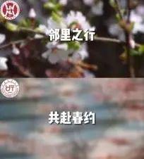 中国最“铁”双非大学分数不高毕业被央企抢着要就业率赶超211(图9)