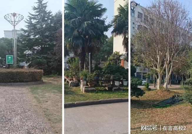 荆州职业技术学院宿舍环境怎么样？提供贴心服务为学生着想！(图2)