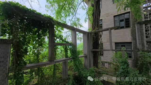 大渡口长江边的神秘废墟！99%重庆人不知道的绝美江景竟无人问津(图16)