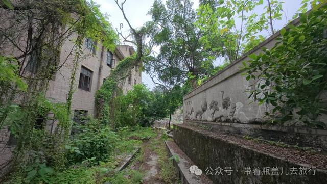 大渡口长江边的神秘废墟！99%重庆人不知道的绝美江景竟无人问津(图13)