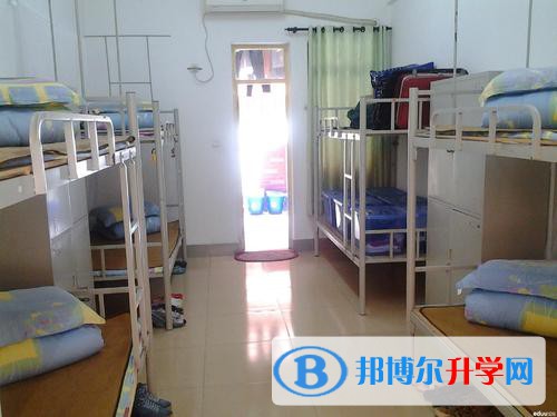 甘肃3个案例入选2024年全国青少年学生读书行动区域优秀案例(图1)