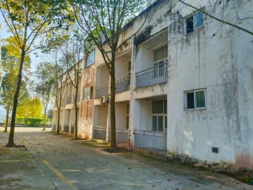 优葵希以科技匠心铺就教育之路开启民用家装新篇章(图2)