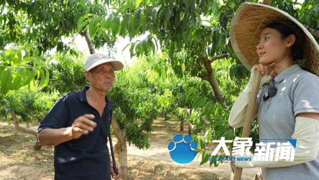 27岁女生乡村卖货走红 本人回应 卖菜西施的朴实与坚强(图20)