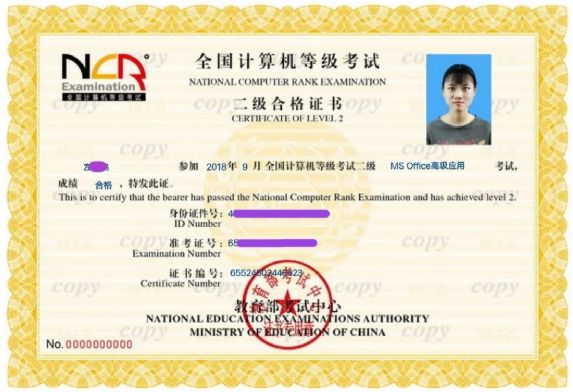 2025热门专业新能源汽车检测与维修：让孩子掌握硬核技术赢在绿色经济起跑线(图2)