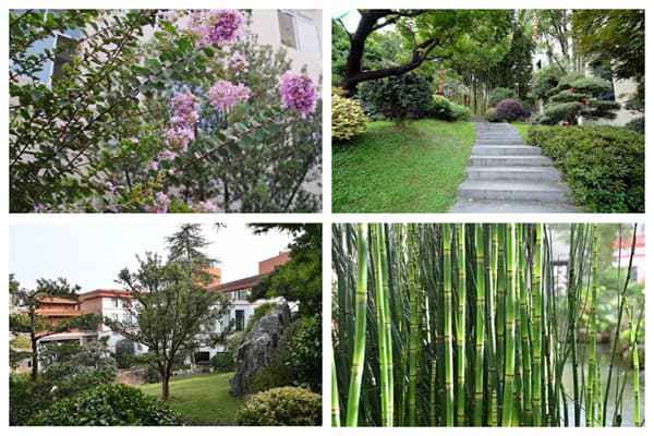 中国品牌日 卓木王匠心锻造国牌典范创新诠释东方美学(图9)