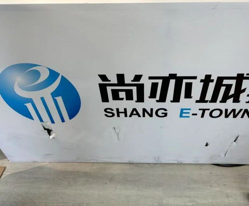 中国足球的世界杯冠军梦由一群机器人率先实现(图5)