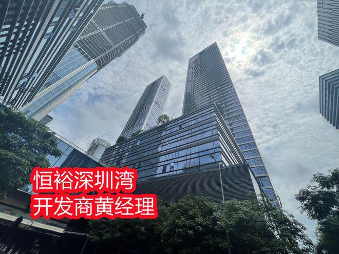 深圳恒裕深圳湾是住宅还是公寓《项目属于什么档次(图4)