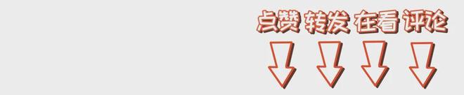 不法分子冒用新加坡淡马锡旗下公司名义在中国诈骗涉案金额高达5亿人民币！(图5)