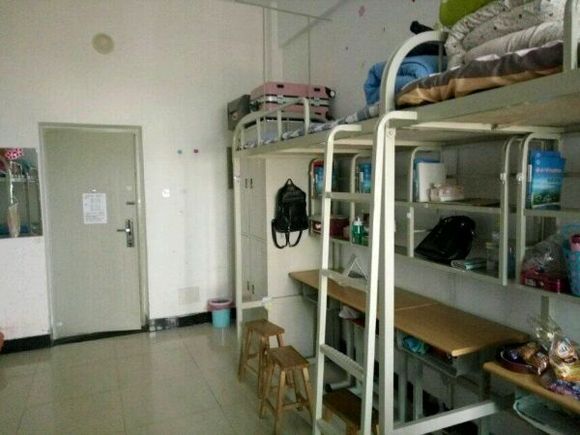 重庆交通大学双校区家具维修服务招标机会来了！(图1)