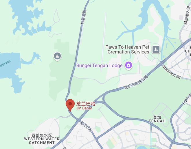 新加坡28个新政补贴！这周日开始实施！事关全岛600万人(图25)