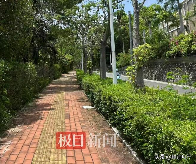 游客命丧三亚后续责任不只在医院男友曝更多细节细节微妙(图1)
