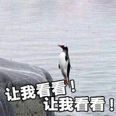 羡慕值拉满！广东高校宿舍大PK没有最靓只有更靓你的还满意吗？(图21)