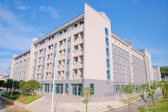 过来人忠告！新生选宿舍床位这 3 个坑千万别踩(图2)