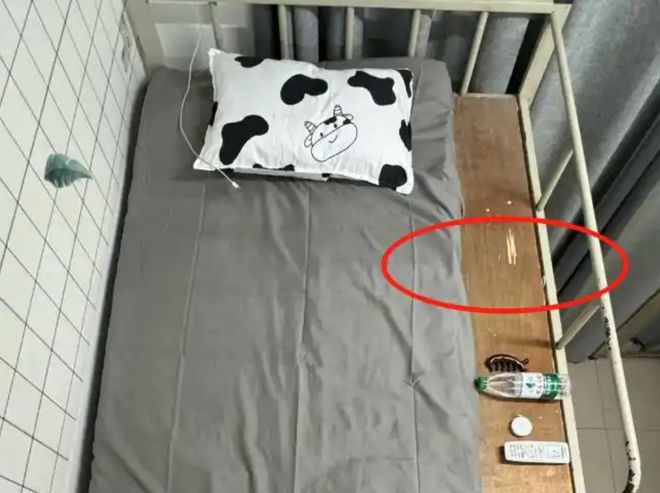 “18厘米我可受不了！”女生面对开学新床位把欲哭无泪演活了！(图4)