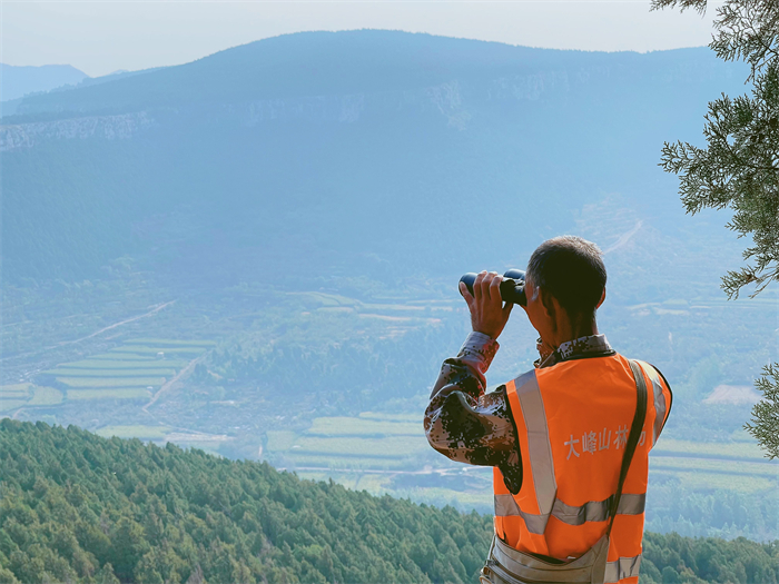 23年行走22万公里 “中国好人”张传林的护林史诗_泉城新闻_大众网(图3)