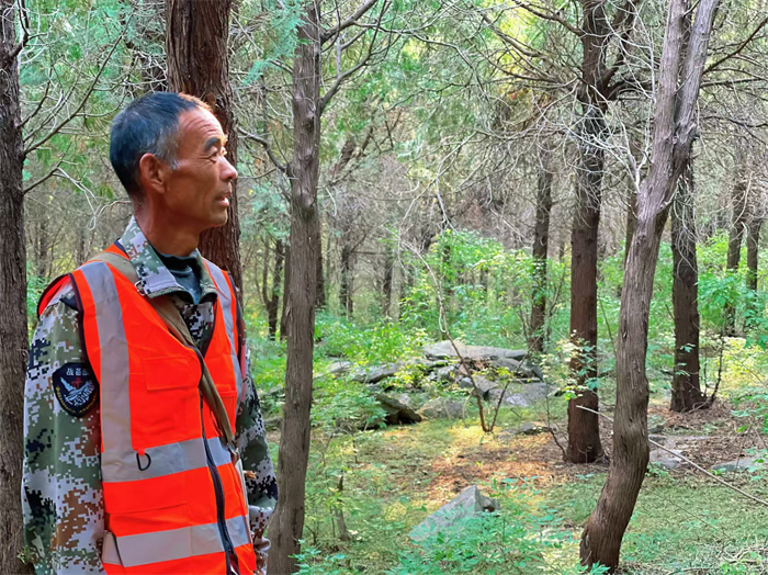 23年行走22万公里 “中国好人”张传林的护林史诗_泉城新闻_大众网(图4)