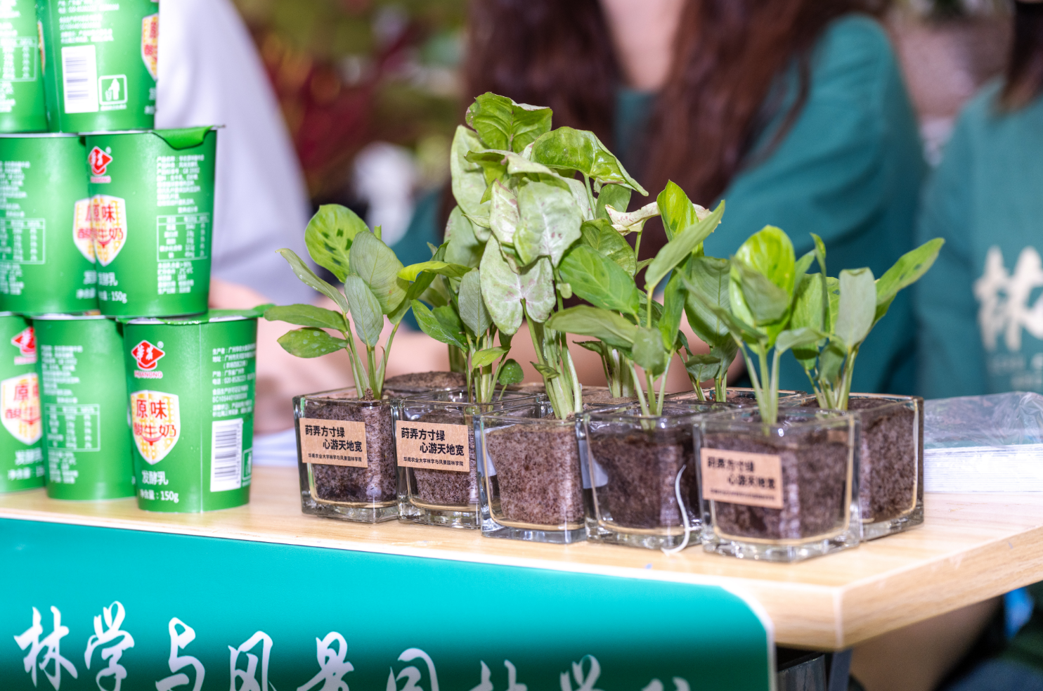 华农迎14万新生：AI辅导员陪伴宿舍花式亮灯用粤语问好！(图4)