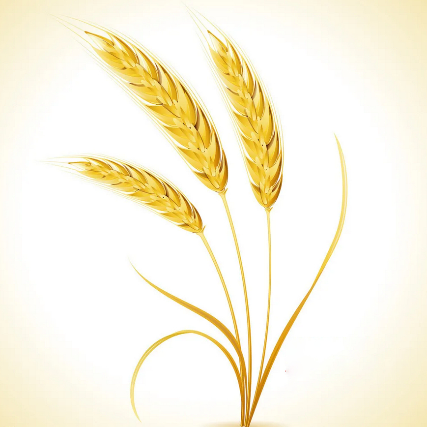 学生住宿舍的那种床的尺寸一般是多大(图1)