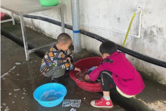 最近情况很严重！恳请大家伸出援手共渡难关！(图17)