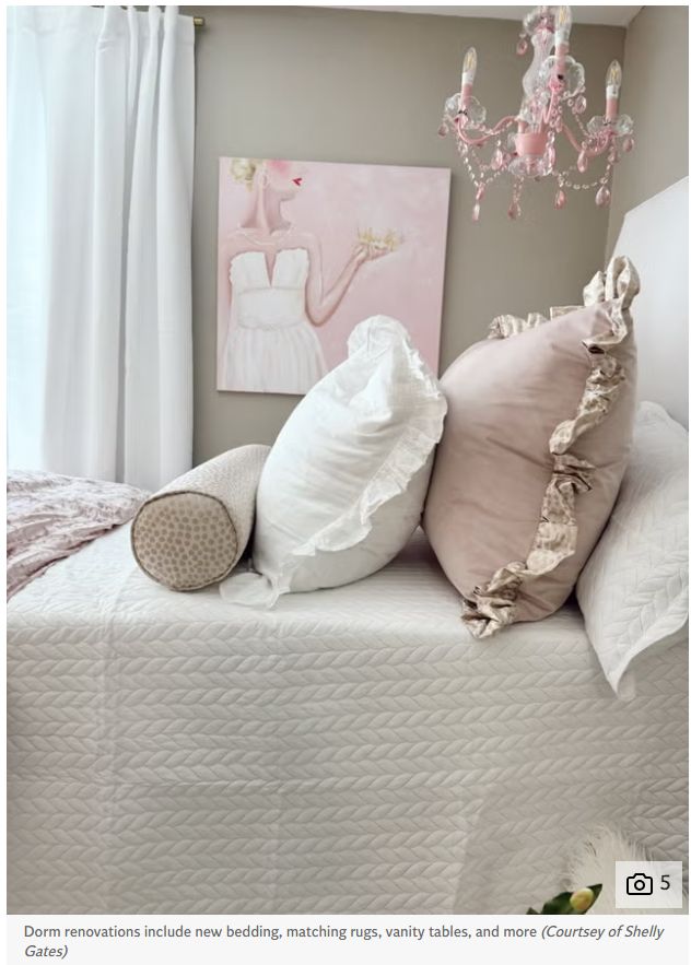 TikTok带火奢华宿舍：动辄上万元改造卷到家长破产！(图4)