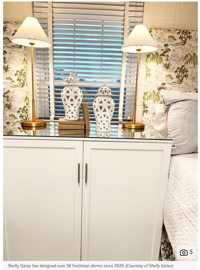 TikTok带火奢华宿舍：动辄上万元改造卷到家长破产！(图8)