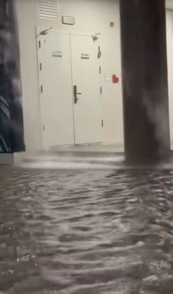 连爆两次！美院校区到底怎么了？网友：双一流大学流粪又流水…(图1)