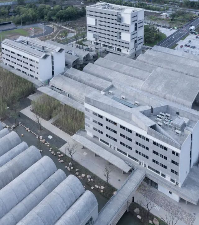 连爆两次！美院校区到底怎么了？网友：双一流大学流粪又流水…(图8)