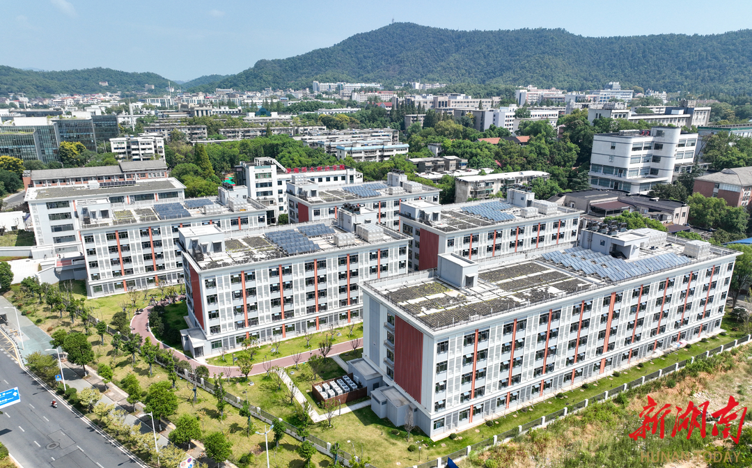 深度⑩｜颠覆认知：工厂里生产的房子生意挺火(图1)