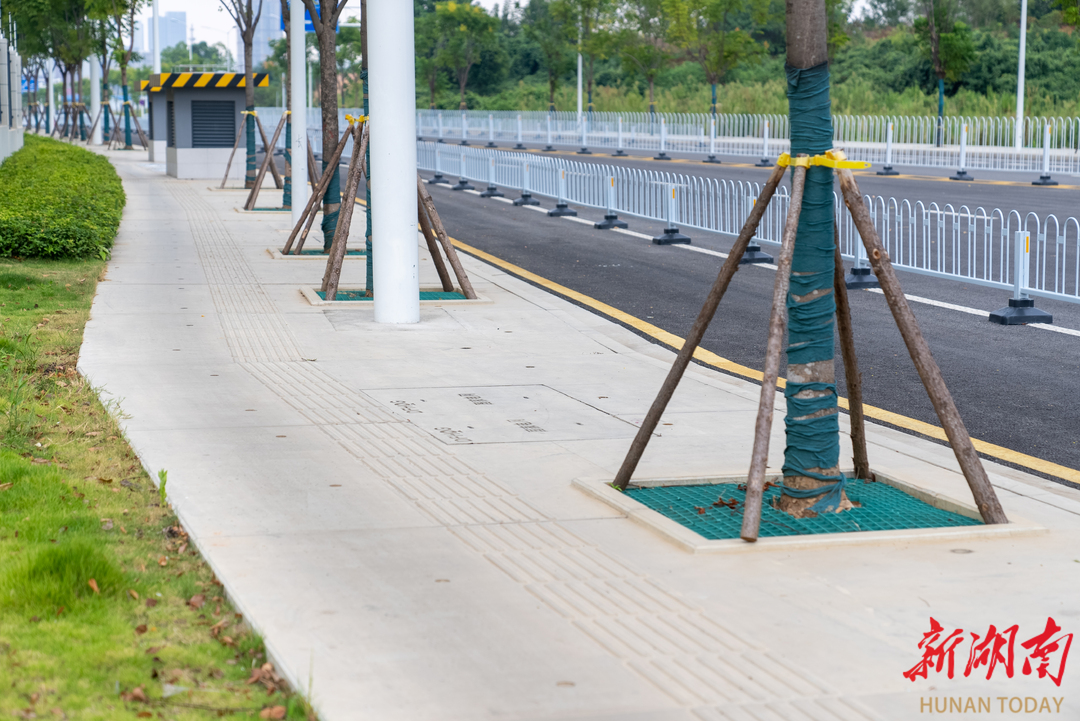 深度⑩｜颠覆认知：工厂里生产的房子生意挺火(图2)