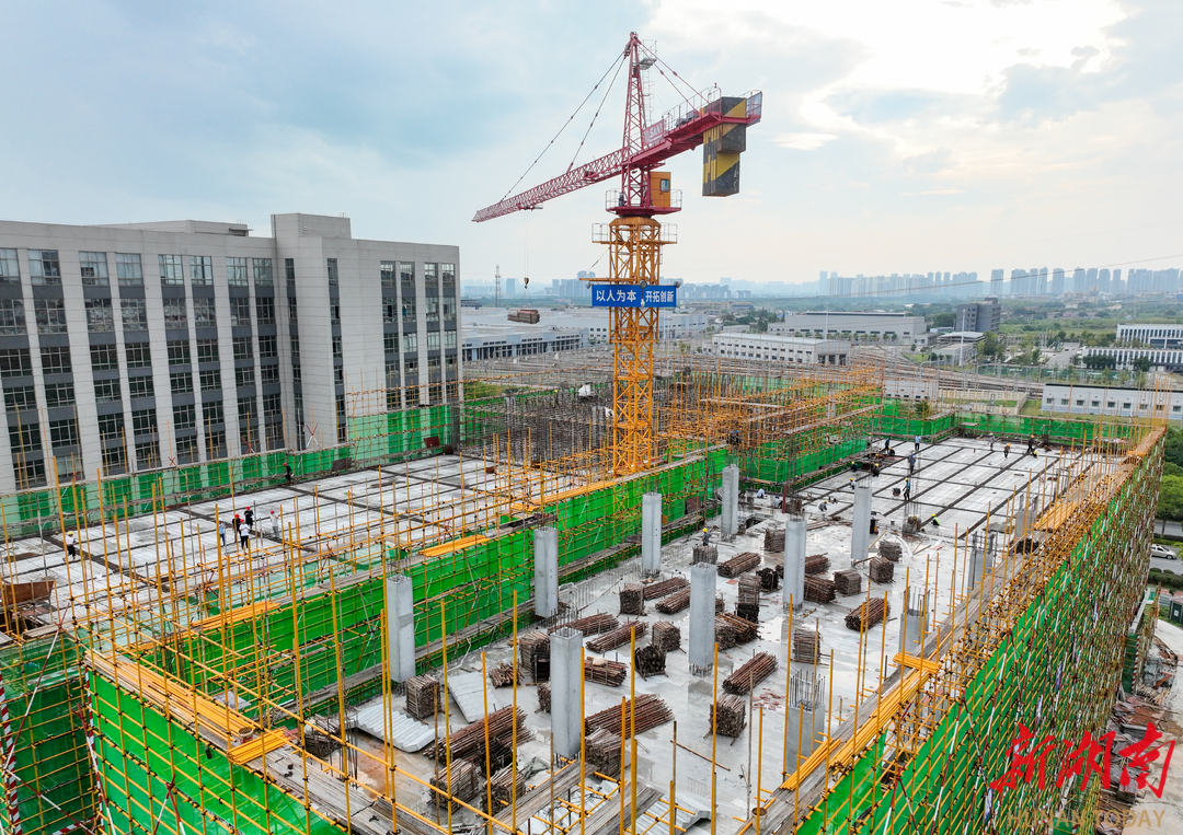 深度⑩｜颠覆认知：工厂里生产的房子生意挺火(图5)