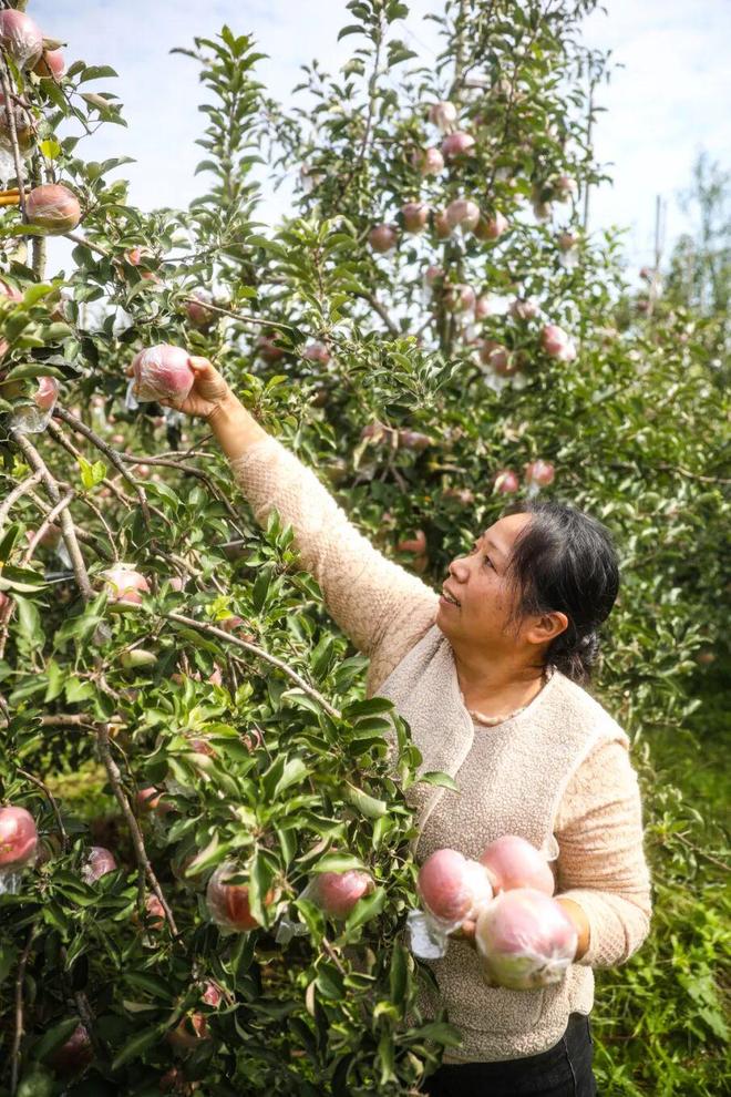 徐州这家医院即将大改造！(图6)